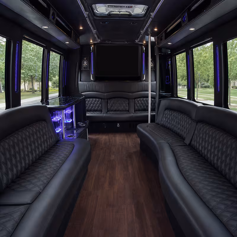 Passenger watching the Sterling Heights scenery during a regional party bus road trip
